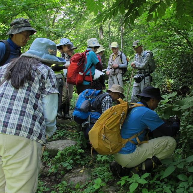 植物の調査に参加して