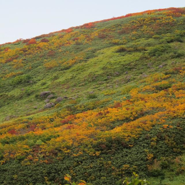 月山で