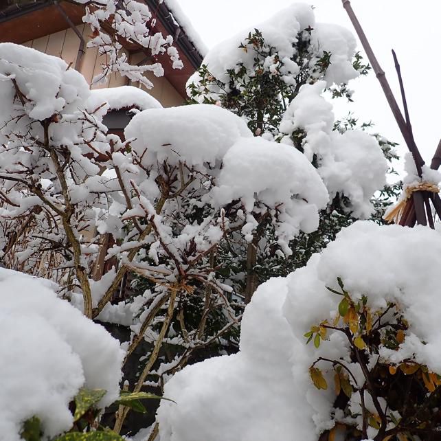 雪はき