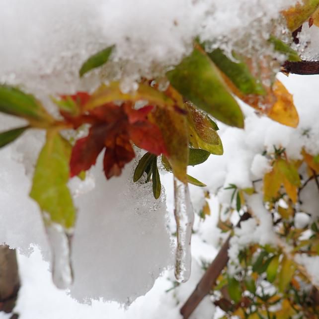 雪のある風景　B