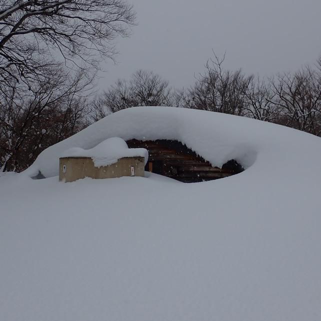 県キャンプ場の今