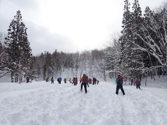 雪の白さに感動