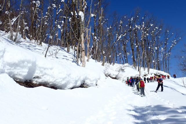 里山の魅力