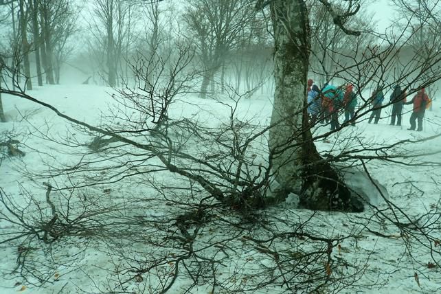 豪雪の足跡再度