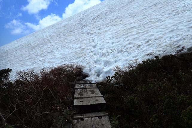 金うば積雪