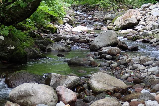 炎天下の月山山麓で