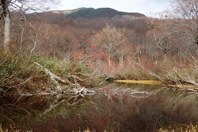 カワクルミ沼と湯殿山
