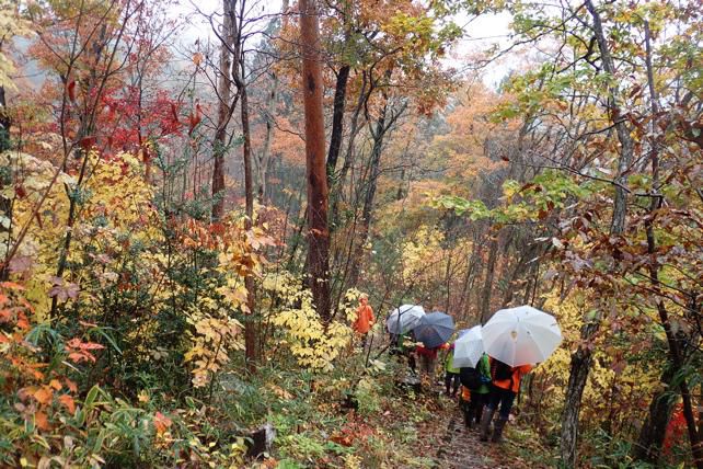 紅葉の森林公園