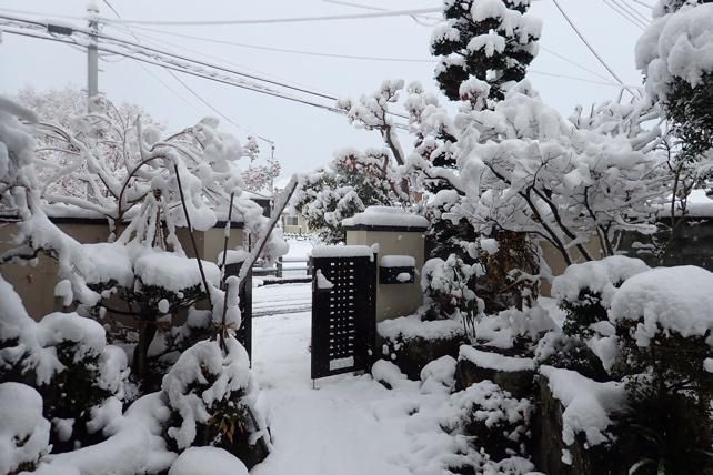 初雪