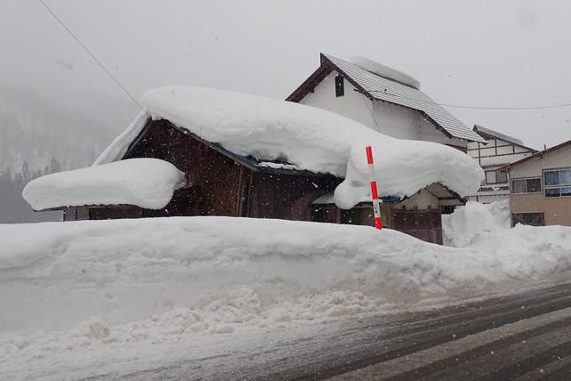 西川町大井沢深雪体験