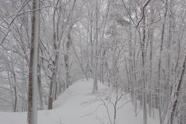 時折の風雪