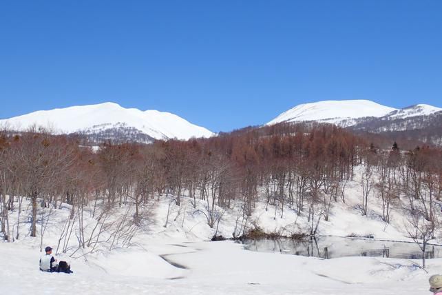 積雪295cm