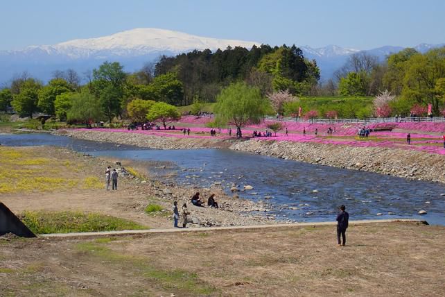 里山に目を