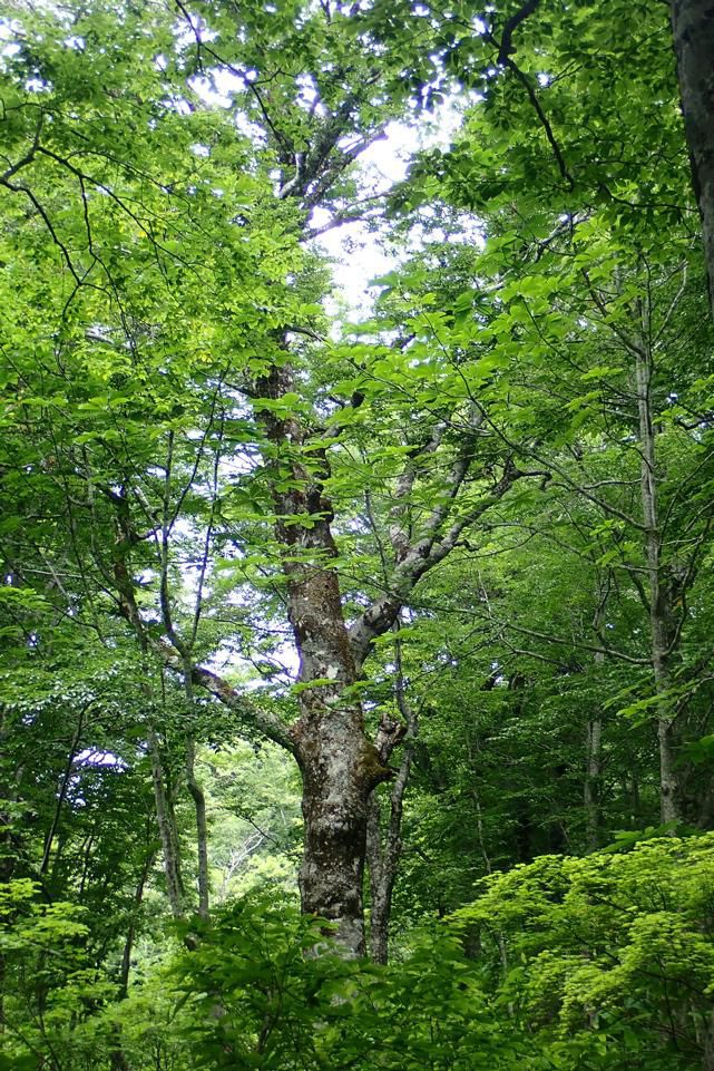 2000年の佇まいを