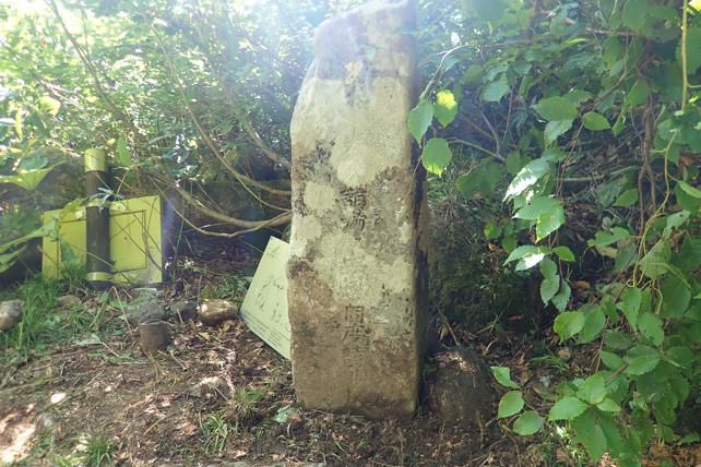 保全活動の様子