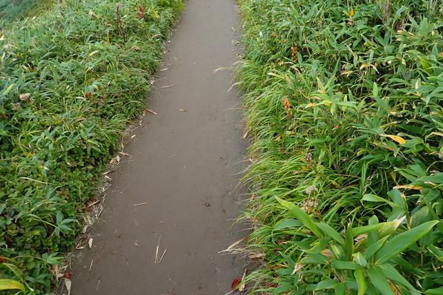 厚い粘土層の尾根