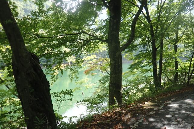 白神山地に思う