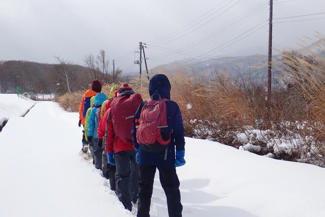 寒風にすすき野