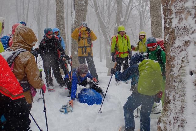 原生林は2m15の積雪です