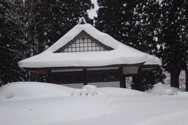 神社本殿