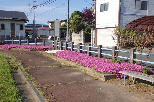 山形市内西下条公園