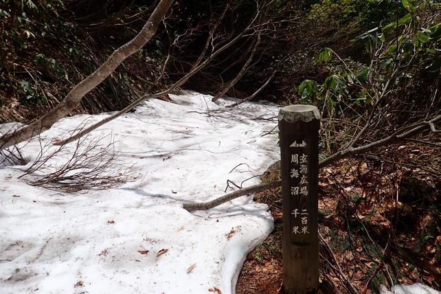 雪庇も消えて