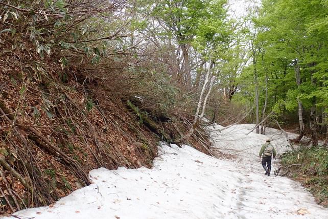 雪庇無し