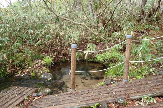 湧水爽かに