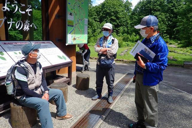 6月定例スケッチ　緑の森へ