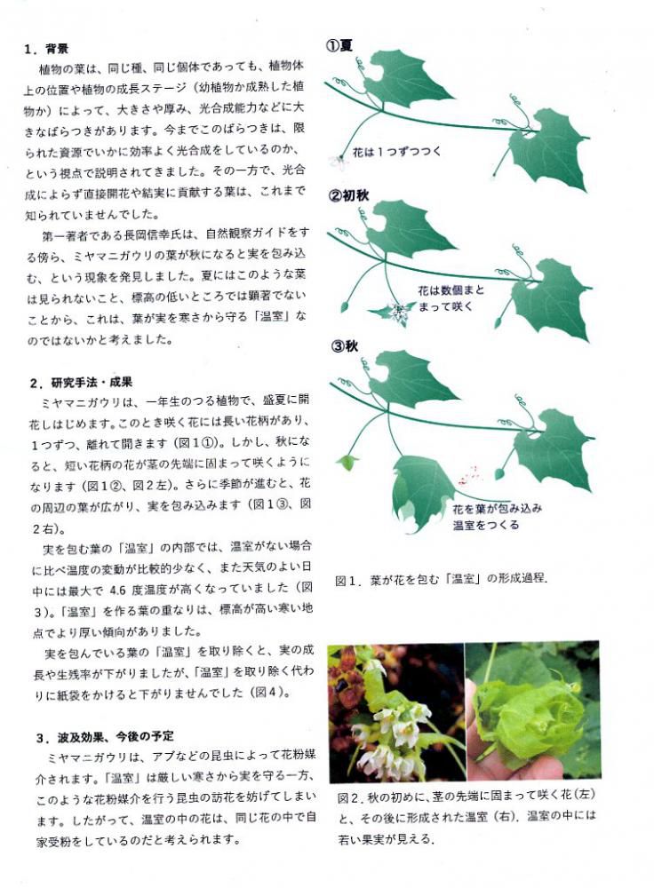 京都大　森林総合研究所　記者用リリース2