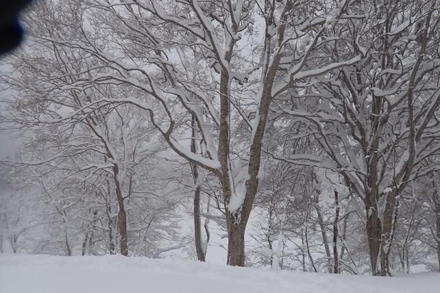 地蔵沼周辺の風景　1