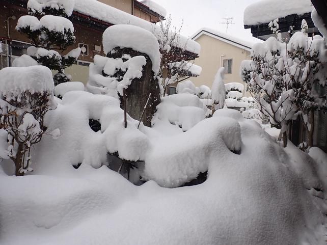 2022.1.1 わが家は雪の中