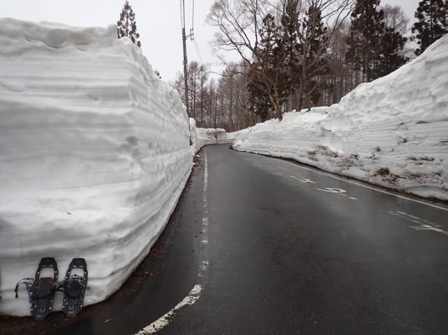 月山道の行き回廊　1