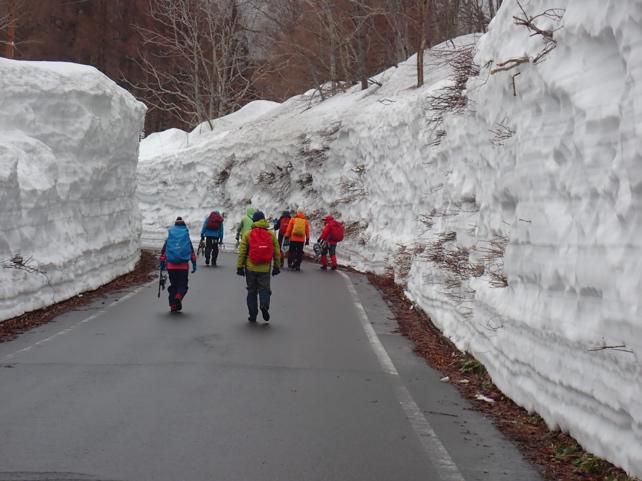 雪回廊の断層を見る