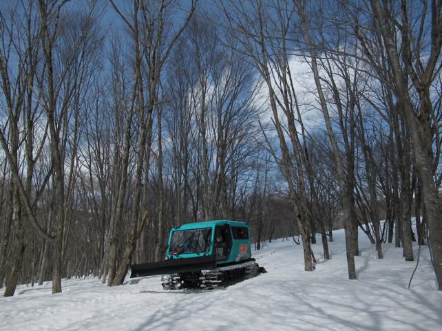 雪上3ｍから２次林を見る