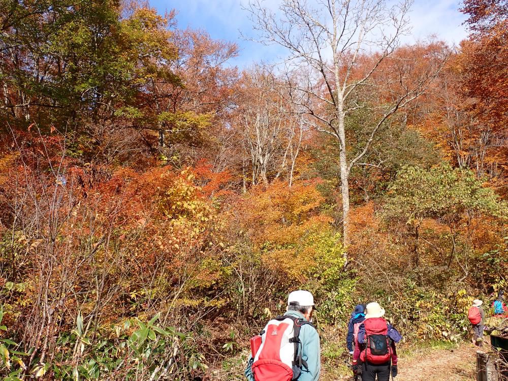 吸い込まれそうな晩秋の色