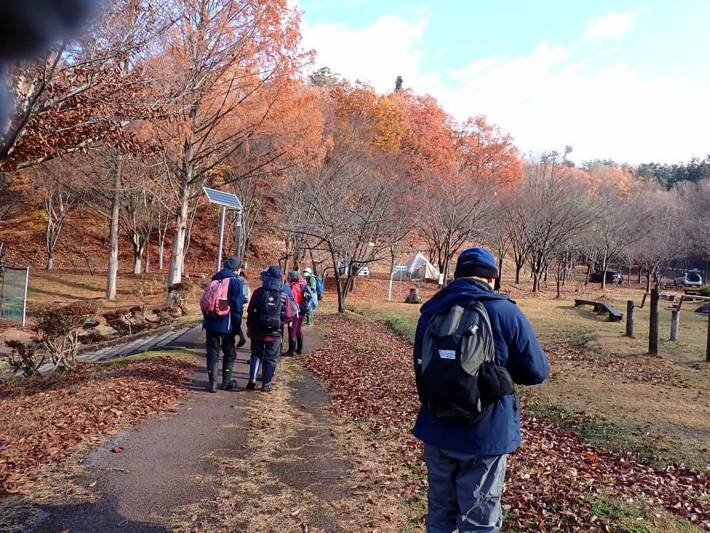 里山の晩秋を行く