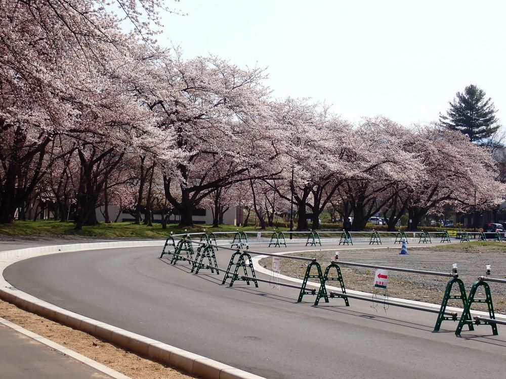 霞城　弓道場