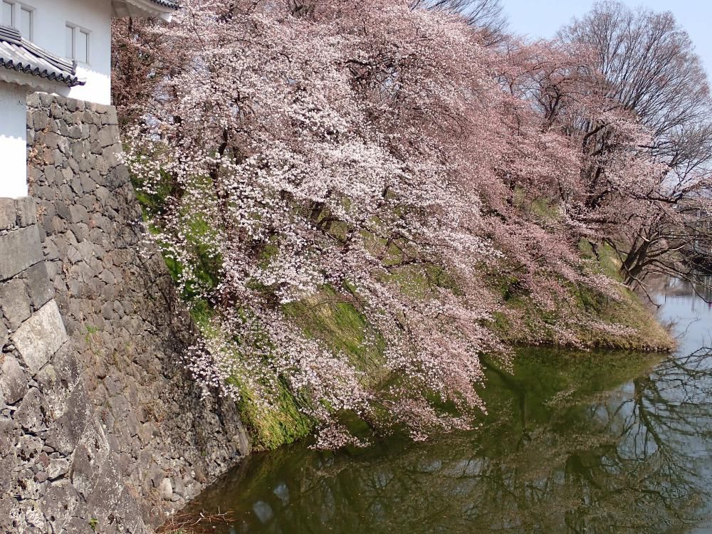 正面橋の上