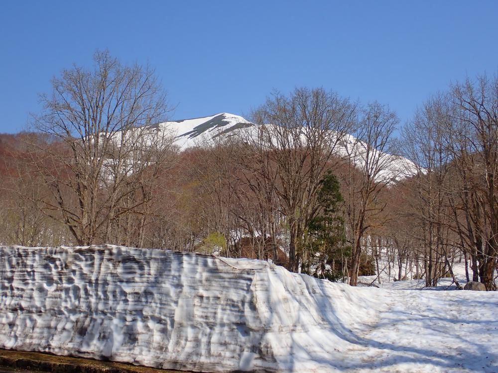 県立自然博物園　Open