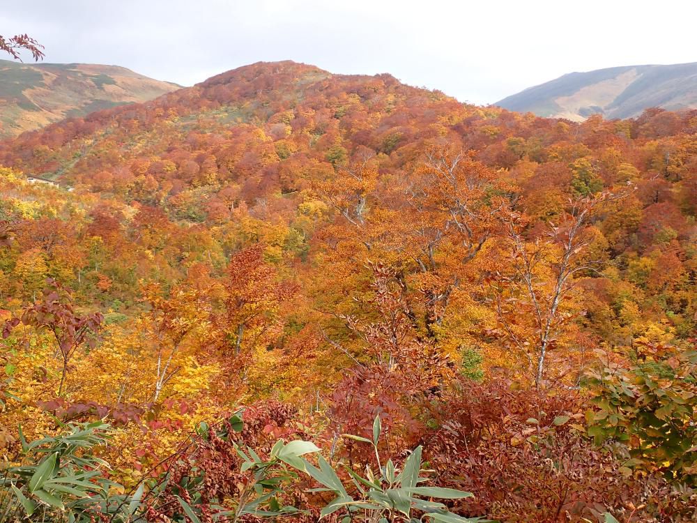 晩秋の月山　1　2023.10.19