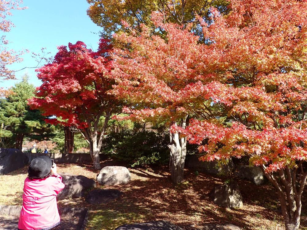 沼の辺散策　3　紅葉