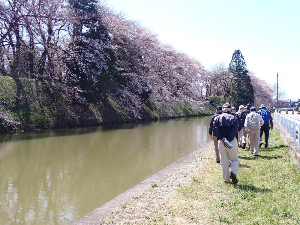 老人クラブ　歩こう会に参加して