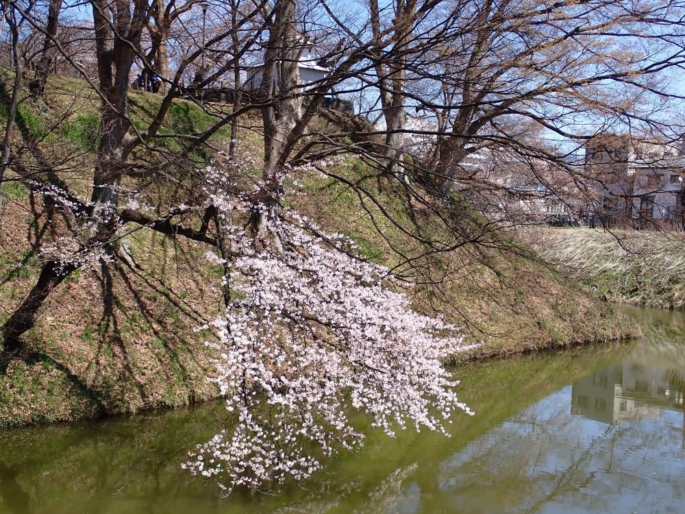 みなみ掘から