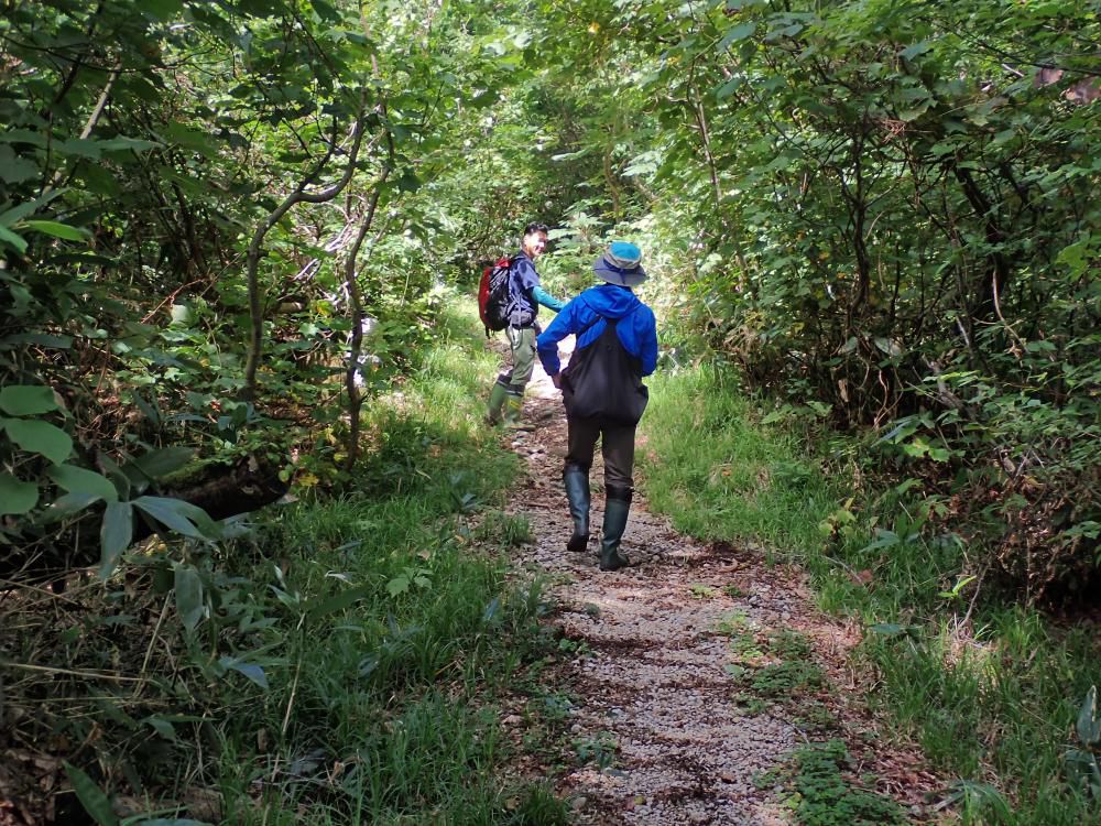 登山道、公園遊歩道との分岐点あたり