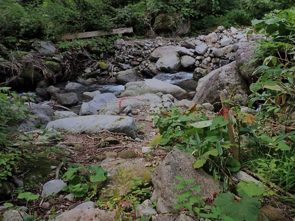 リュウキンカ広場への橋