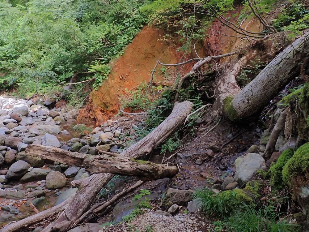 平坦地で休測地だった場所無惨　p9230066~0069