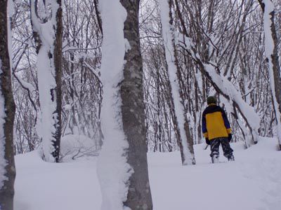 雪の華に飾られて