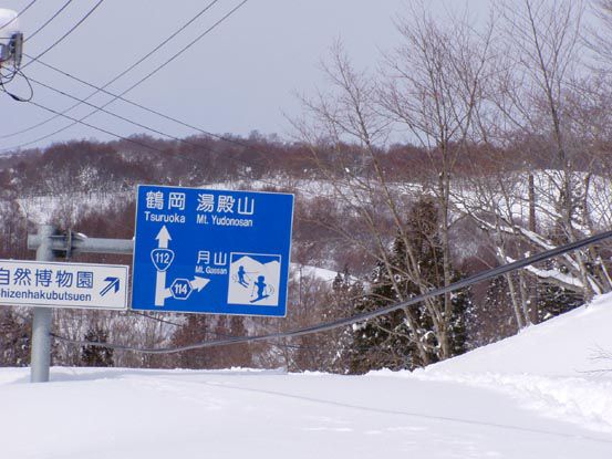 積雪5ｍの中のブナ原生林へ　(1)