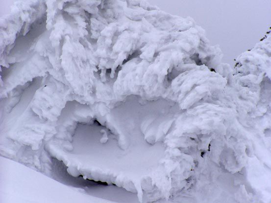 月山に樹氷? (5)